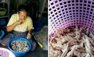 博主爆料鸡爪视频,鸡爪视频背后的惊人真相